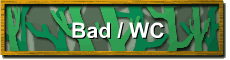 Bad / WC